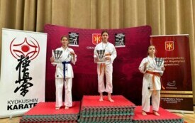 a4c38654-7f59-48c3-913f-3f45a36a3d0e