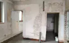 IMG20250326090518
