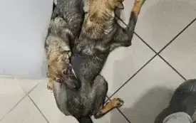 558569953_1230857065745578_1613412029323335174_n