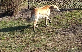IMG_20260331_090808100