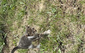 IMG_5229.jpeg
