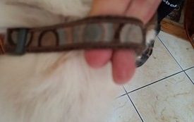 IMG_1982.jpeg