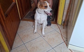 IMG_1980.jpeg