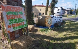Pluskowęsy
