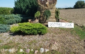 Nowy Dw&oacute;r