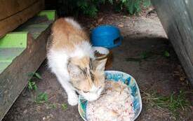 image000000.jpeg