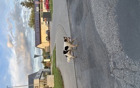 IMG_2553.jpeg