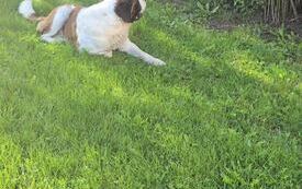 image0000001.jpeg