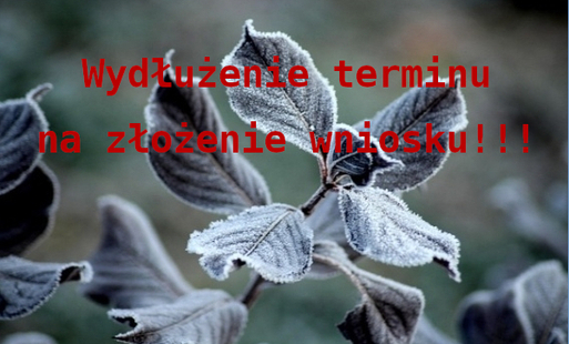 Zdjęcie do Uwaga Rolnicy - wydłużenie terminu na złożenie wniosku!!! 