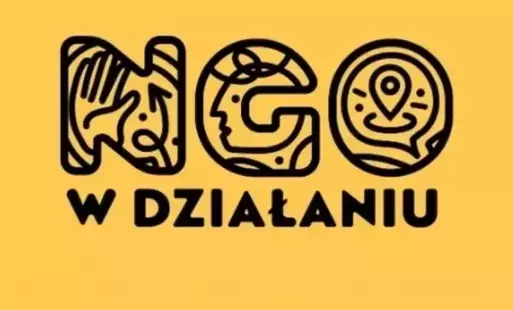 Zdjęcie do II nab&oacute;r do projektu &bdquo;NGO w DZIAŁANIU&rdquo;