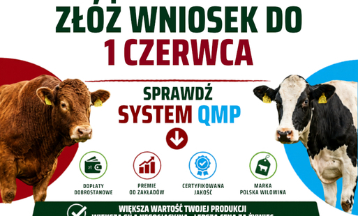 Zdjęcie do Ekoschemat &bdquo;Dobrostan zwierząt&rdquo; Dodatkowe pieniądze dla hodowc&oacute;w z QMP &ndash; tylko do 1 czerwca!