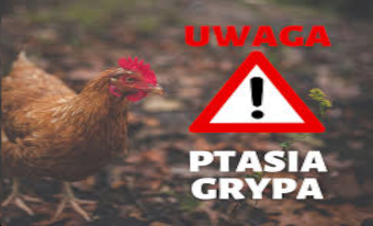 Zdjęcie do Rozporządzenie w sprawie zwalczania wysoce zjadliwej grypy ptak&oacute;w (HPAI) na terenie powiatu golubsko-dobrzyńskiego UCHYLONE