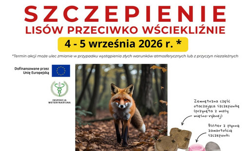 Zdjęcie do Komunikat Kujawsko-Pomorskiego Wojew&oacute;dzkiego Lekarza Weterynarii - Szczepienie lis&oacute;w przeciwko wściekliźnie